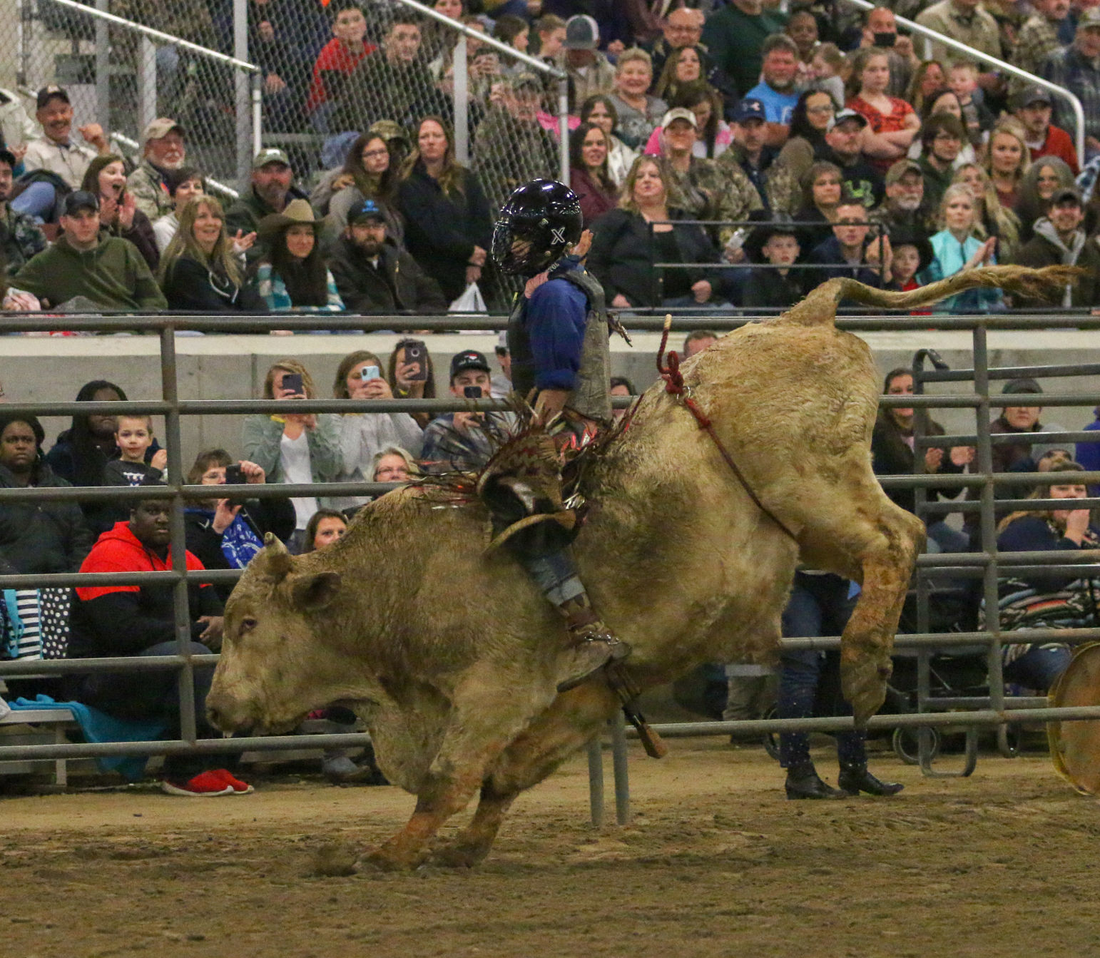 BullBash-6.JPG